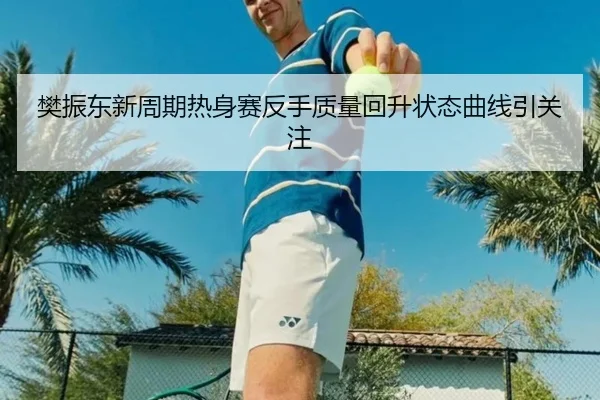 樊振东新周期热身赛反手质量回升状态曲线引关注