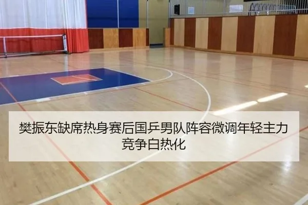 樊振东缺席热身赛后国乒男队阵容微调年轻主力竞争白热化
